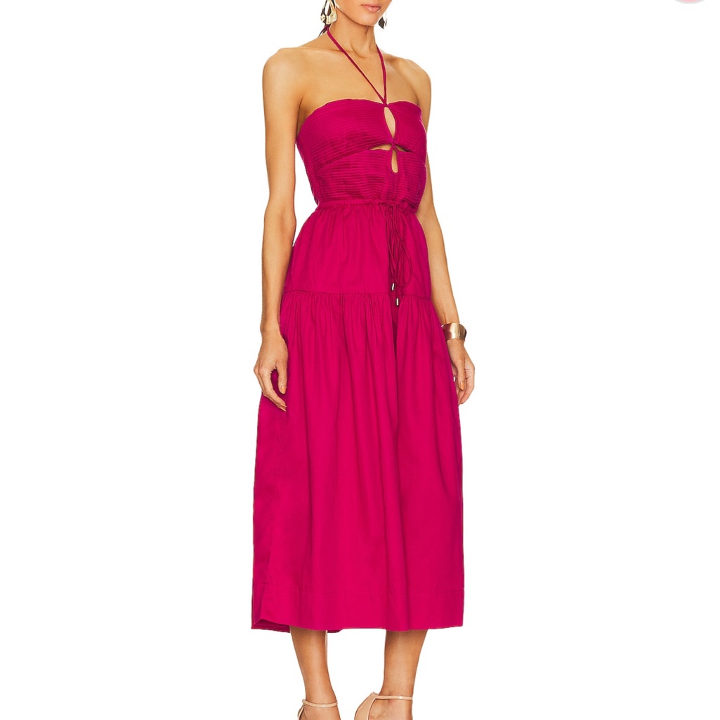 Malwa Maxi Dress In Hot Pink (Size Medium)